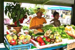 Investing in Cook Islands agriculture